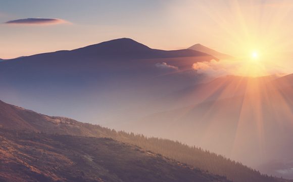 Un nuovo anno con il Gruppo Naturalistico della Brianza