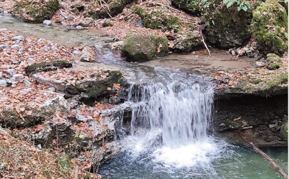 Ecco il nuovo numero di Natura e Civiltà, protagonista il PLIS Valle del Torrente Cosia