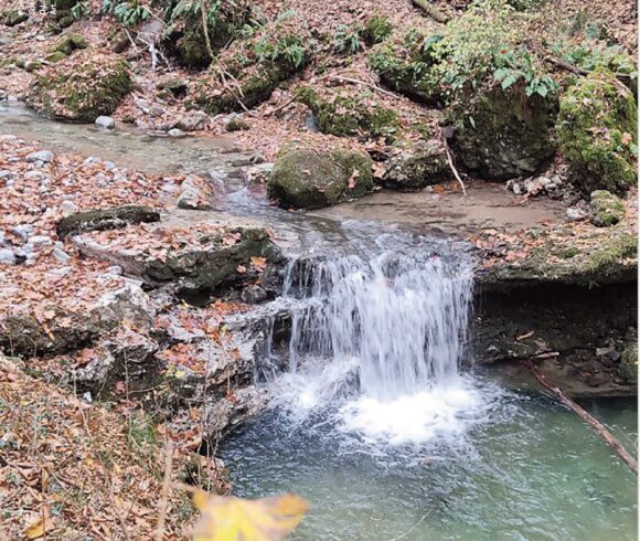 Ecco il nuovo numero di Natura e Civiltà, protagonista il PLIS Valle del Torrente Cosia